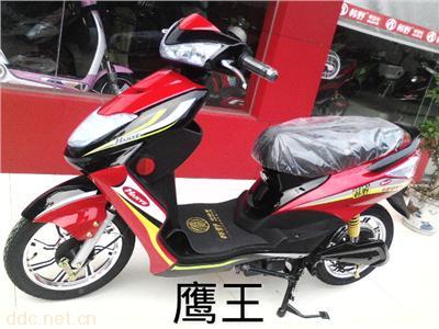 鹰王电动车